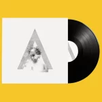 VINILO-AMATRIA